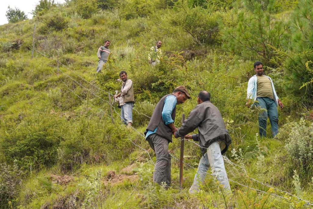 Fencing for the reforestation land in ecozone of GHNP