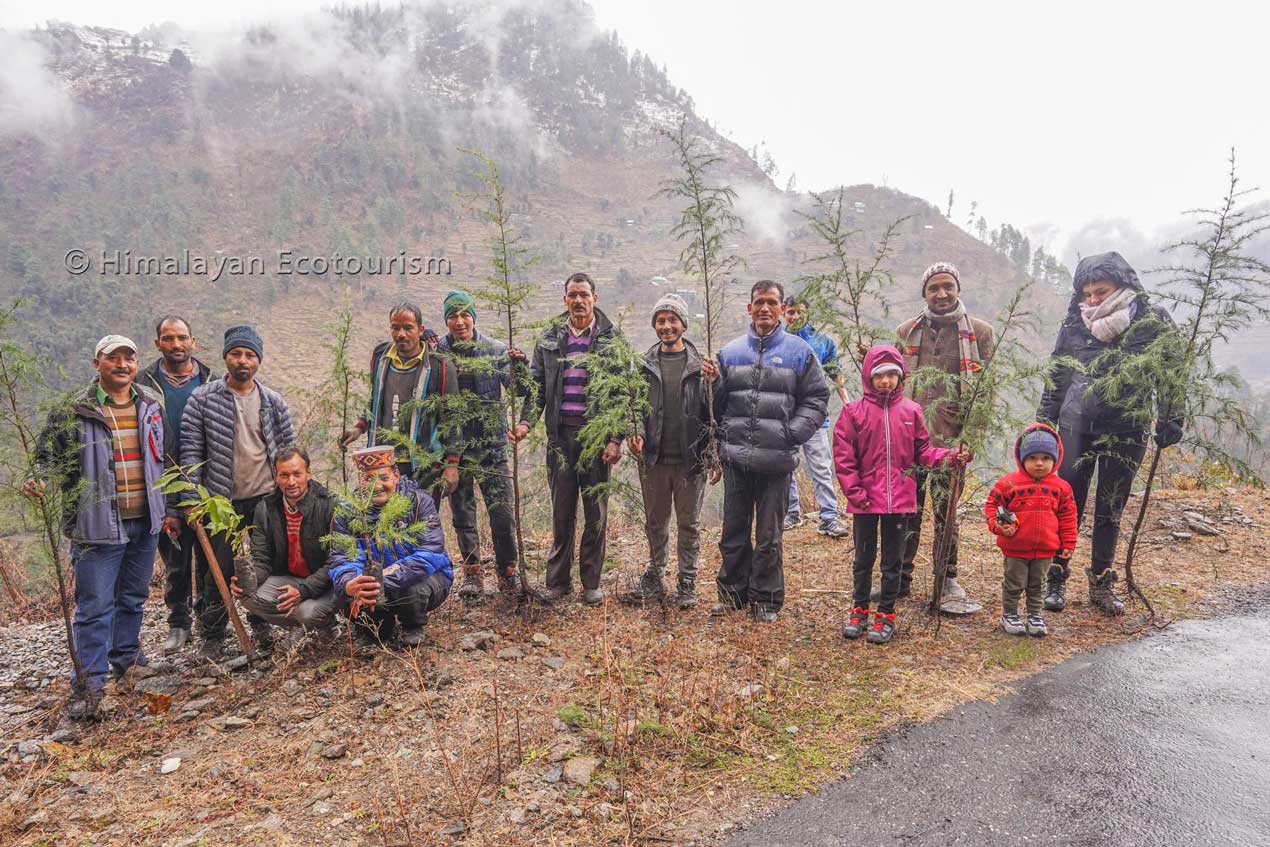 Reforestation in the Tirthan Valley with Himalayan Ecotourism