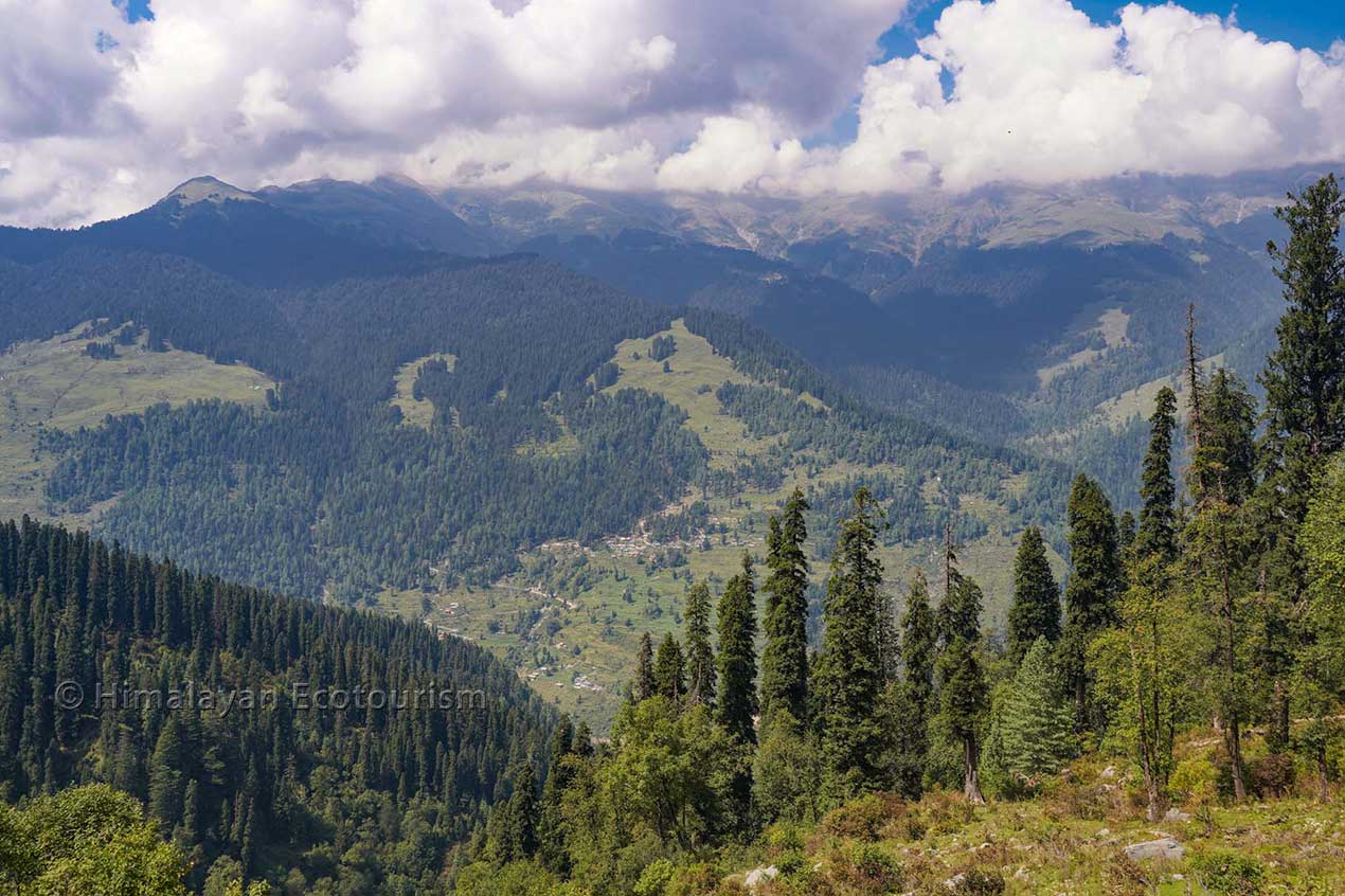 The higher side of the Churah valley, Chamba, Himachal