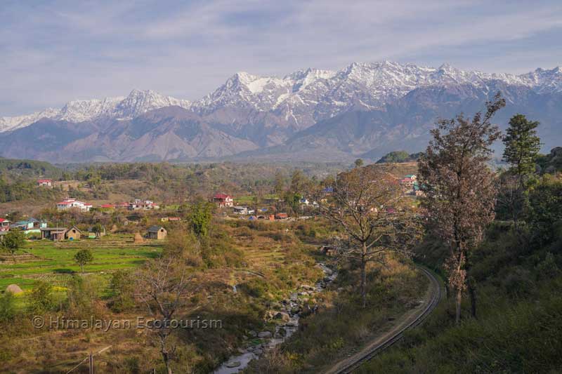 Dharamshala - link