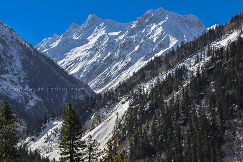 Randonnée à Raktisar en Great Himalayan National Park