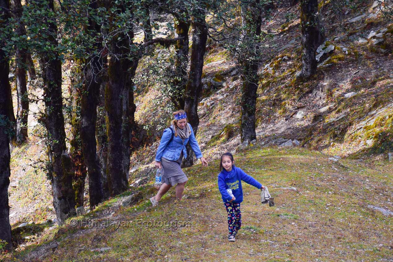 Kid-friendly hike to Jalori Pass