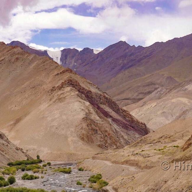 The valley leading to Yurutse in Hemis National Park - Ladakh