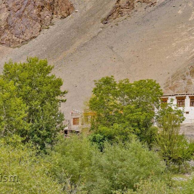 Zinchan (Zingchen) on the way to the Hemis National Park - Ladakh