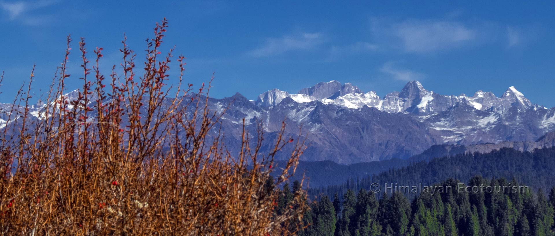 Great Himalayan National Park in Himachal