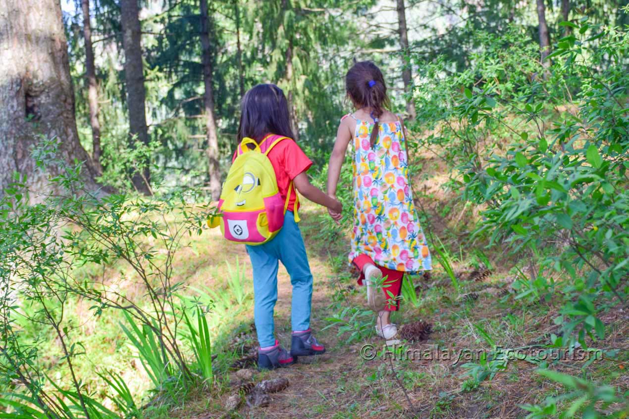 Easy Day Hikes for Children in Tirthan Valley