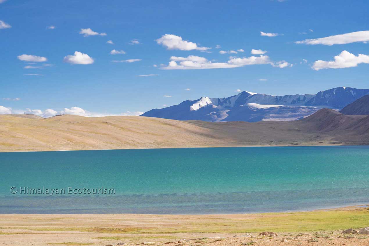 Kiagar Tso, Ladakh