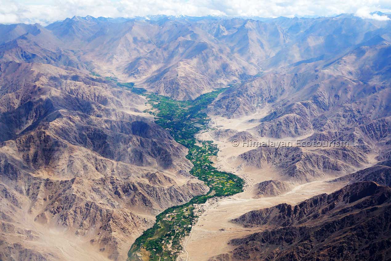 Green valley between arid mountains in Ladakh