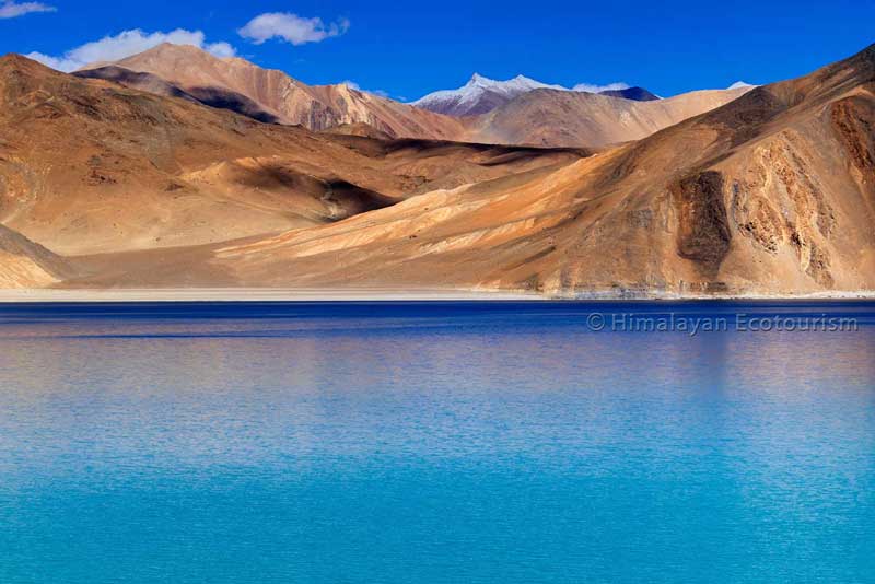 Lakes of Ladakh - Pangong Tso