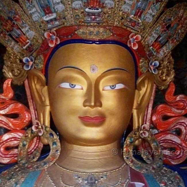 Maitreya Buddha, Tkiksey monastery