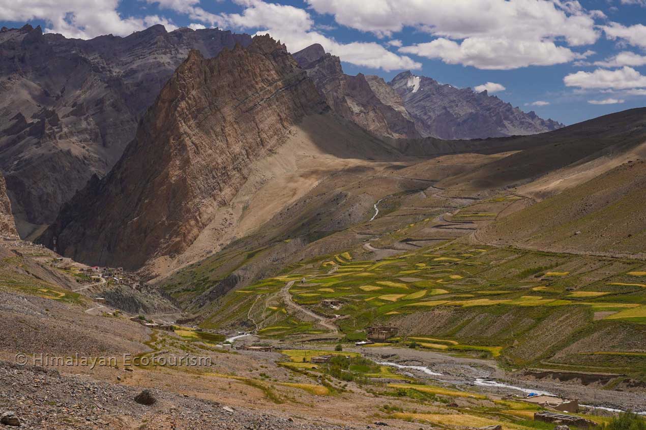 Village de Photoksar avec champs d'orge, Ladakh