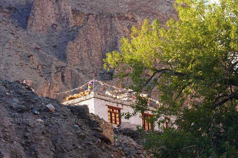 A homestay in Markha village