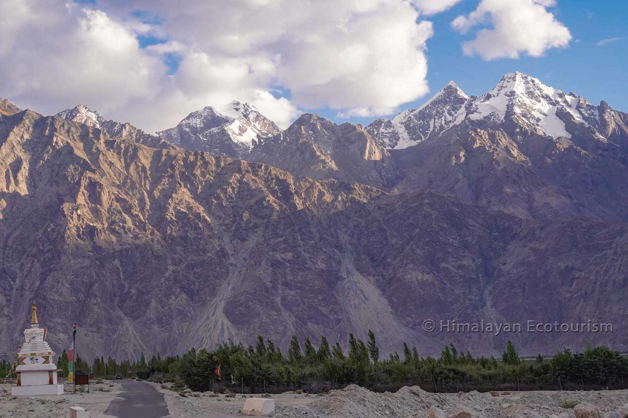 Landscape in Nubra valley, Ladakh