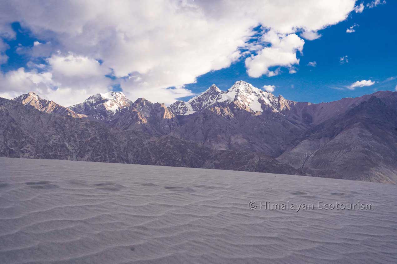 Sand dunes in Nubra valley, Ladakh