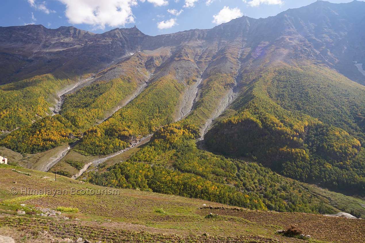 Valley and forest in autumn, Sural valley