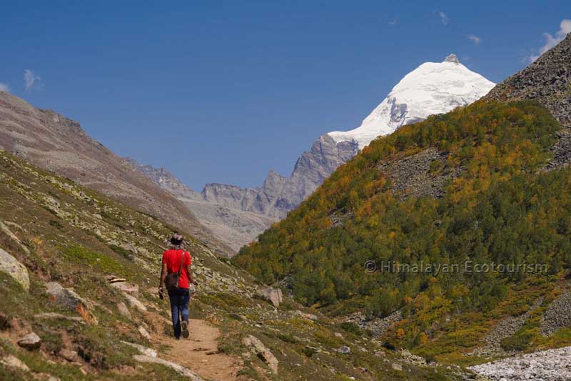 Pangi valley - link