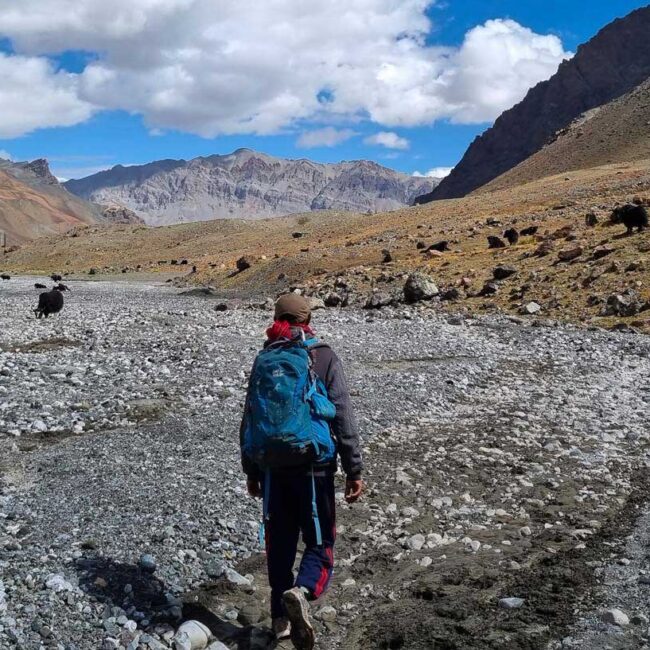 Red lake trek in Zanskar, Tso Marpo - The valley leading to the lake