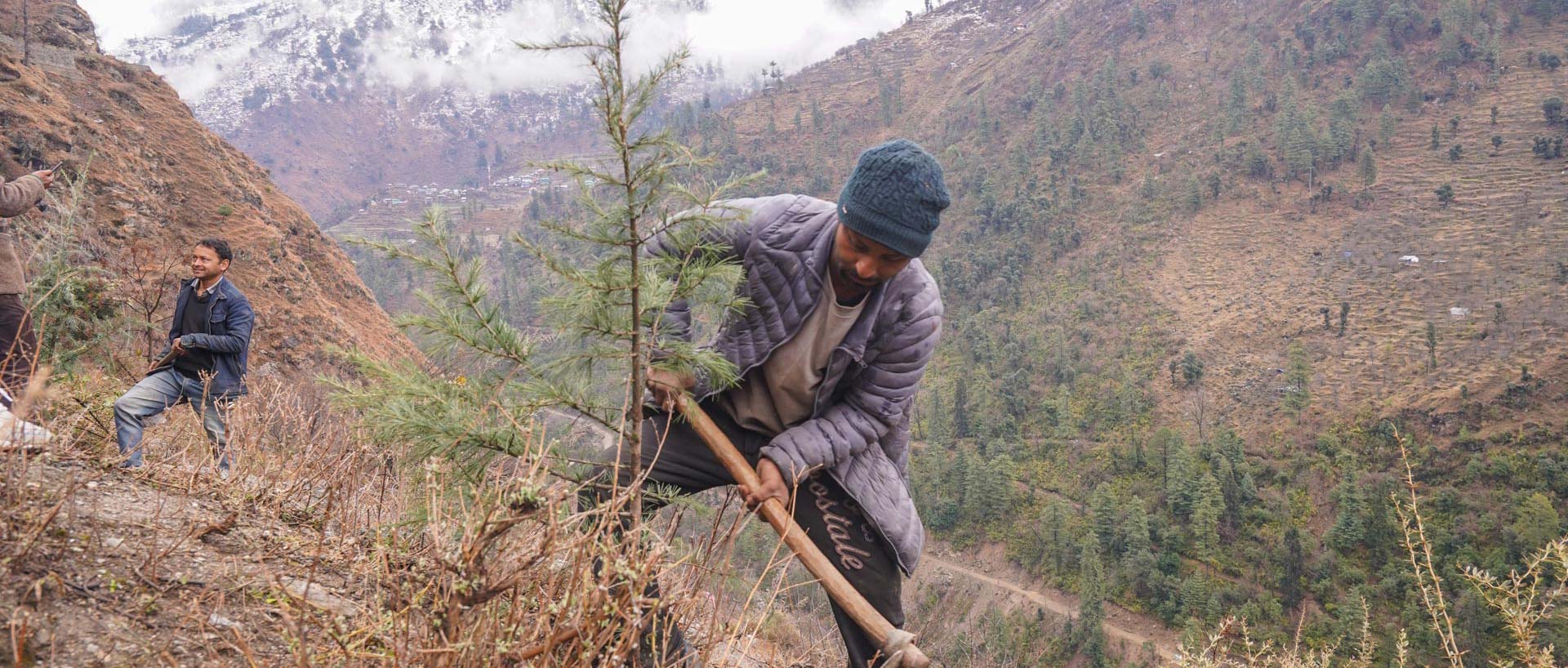 Programme de reforestation dans la vallée de Tirthan par Himalayan Ecotourism