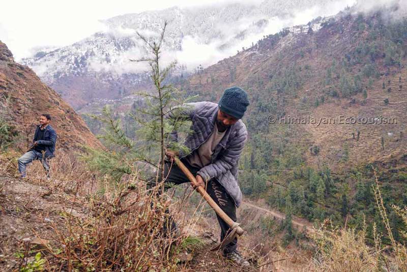 Ecological restoration program in the Tirthan Valley