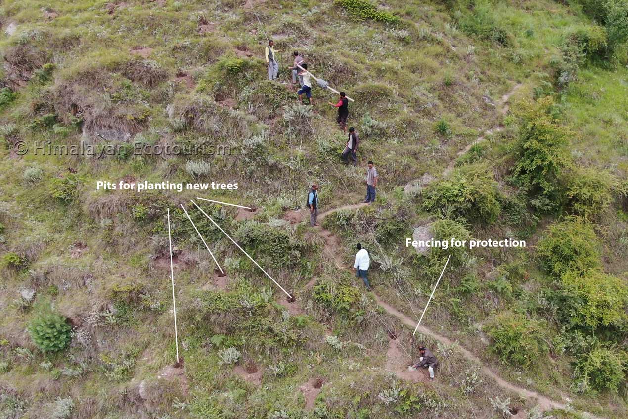 Drone shot of Reforestation land
