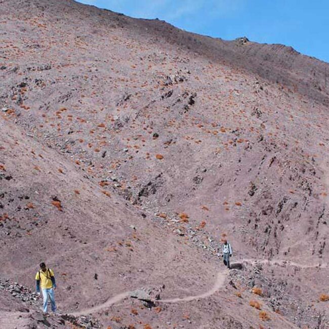 Skiu, Rumbak to Stok trek in Ladakh - At the Stok La