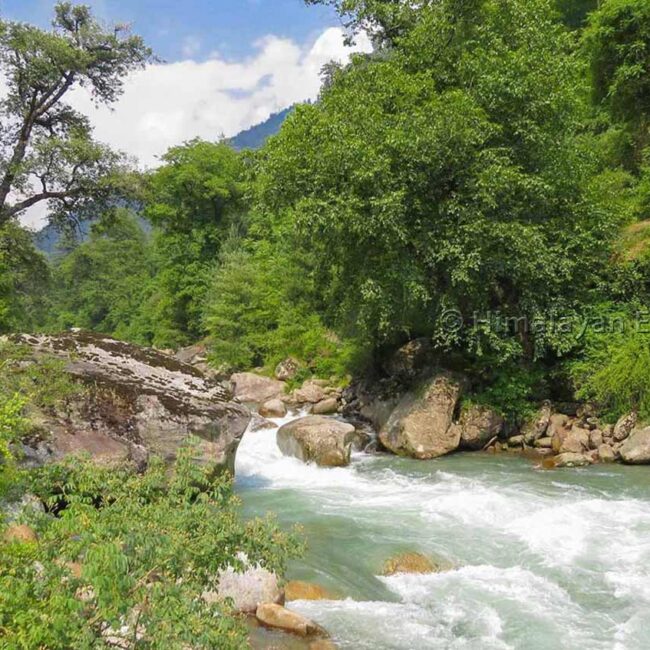 Rivière Tirthan dans l'Himachal Pradesh
