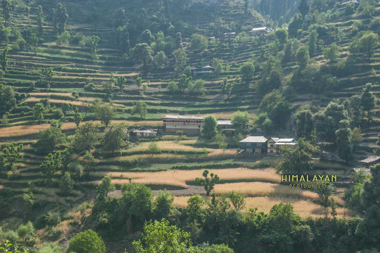 Rural villages in the Tirthan Valley