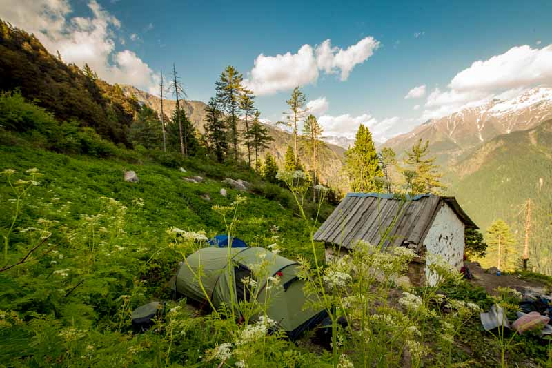 Trek to Shilt Hut in the Great Himalayan National Park