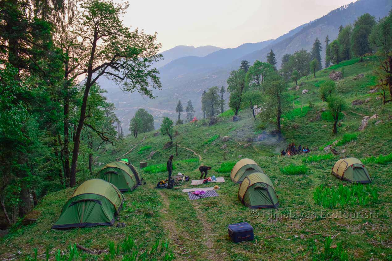 Peaceful atmosphere at Camping in the Tirthan Valley