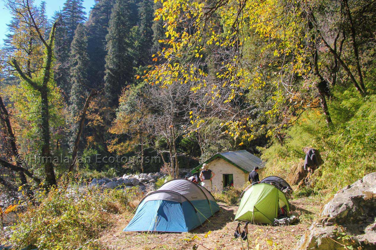 Camping at Chalocha in the Great Himalayan National Park