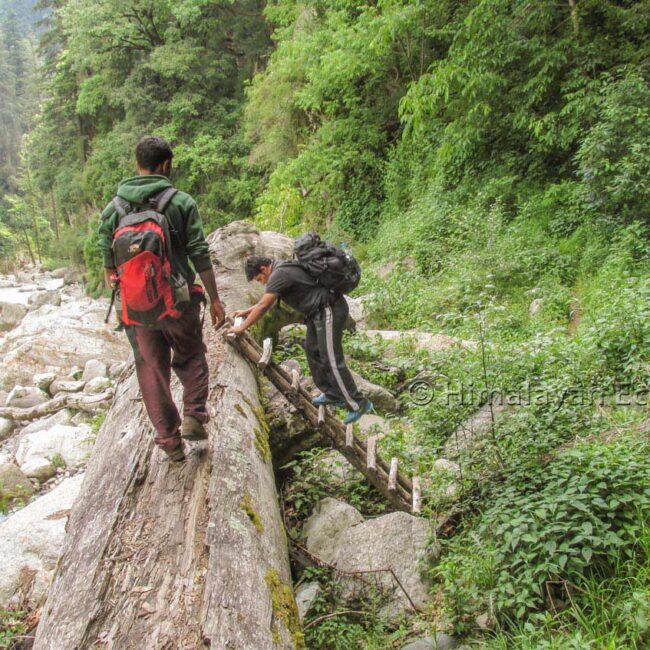 Randonnée dans le Great Himalayan National Park