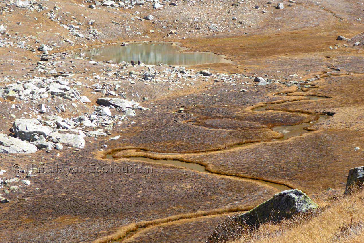 Paysages à Saketi lors du trek de Tirth dans le Great Himalayan National Park