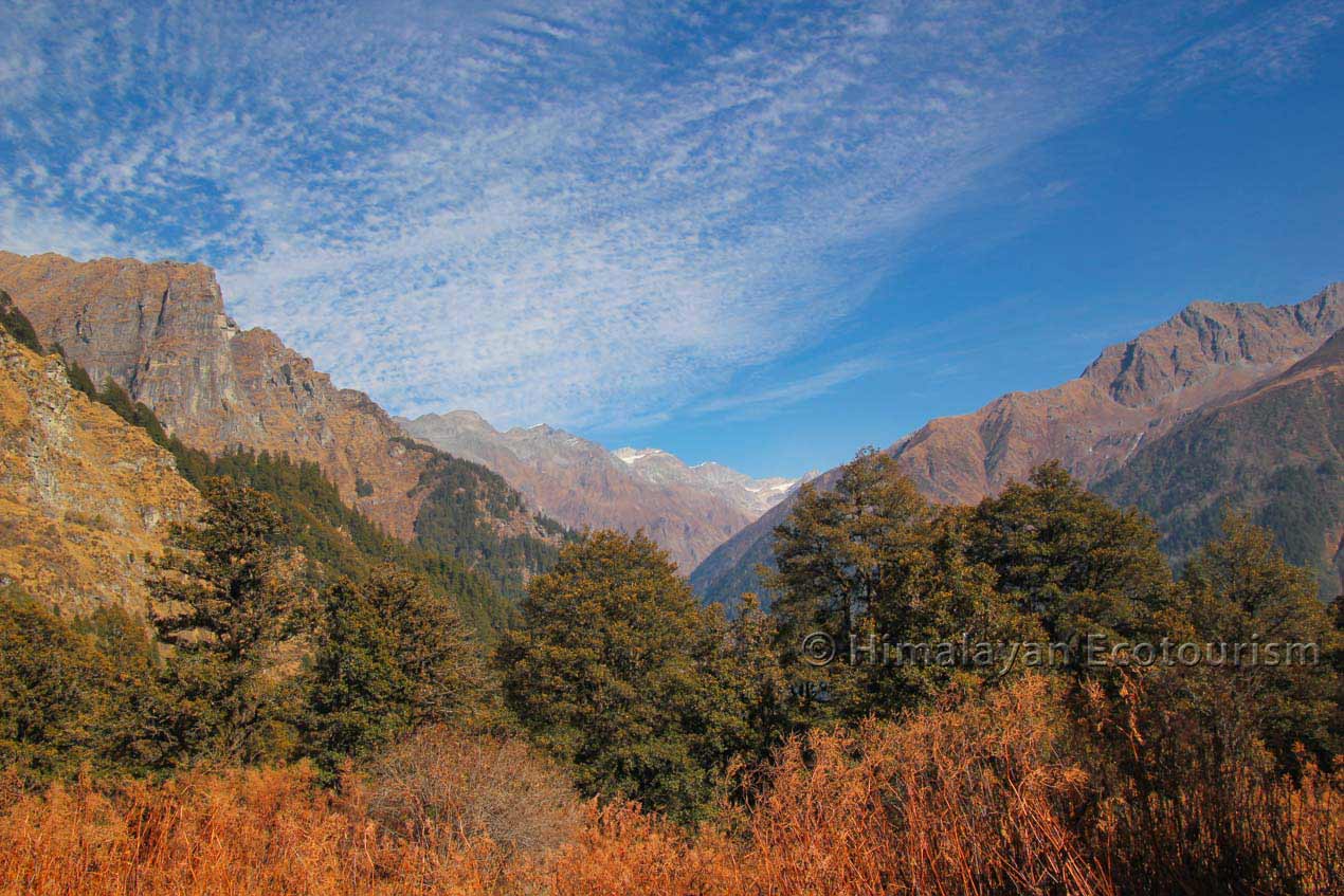 Nada Thach dans le Great Himalayan National Park