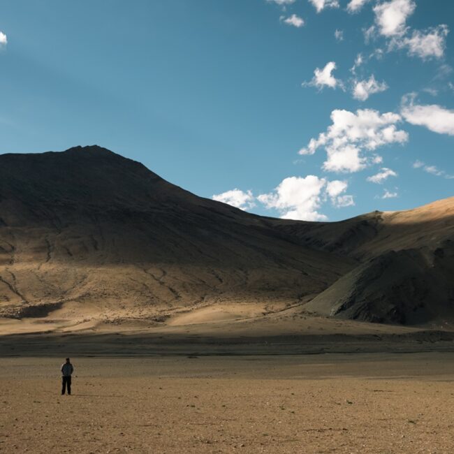 Shepherd in Changthang