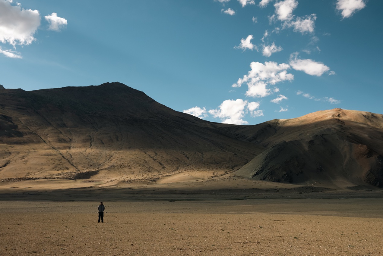 Shepherd in Changthang